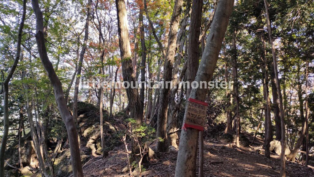 長岩峠まで戻り正丸駅方面へ｜伊豆ヶ岳を5時間で登山したよ