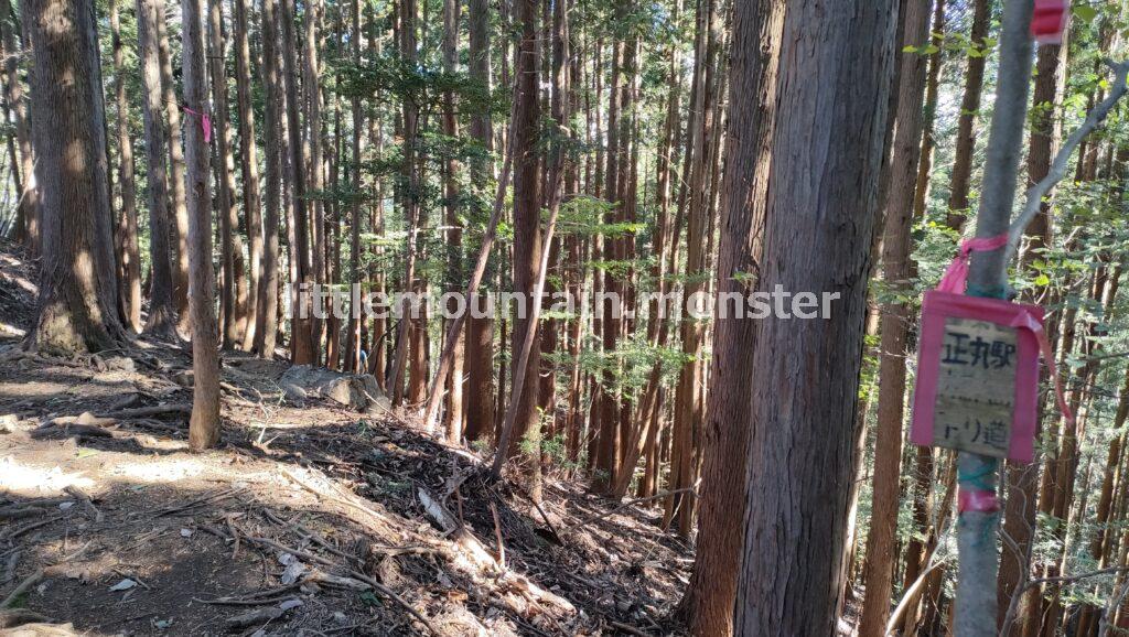 長岩峠まで戻り正丸駅方面へ｜伊豆ヶ岳を5時間で登山したよ