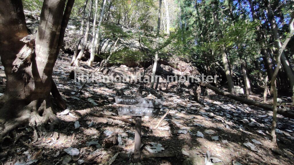 かめ岩を通過し、正丸峠分岐点に戻ってきた｜伊豆ヶ岳を5時間で登山したよ