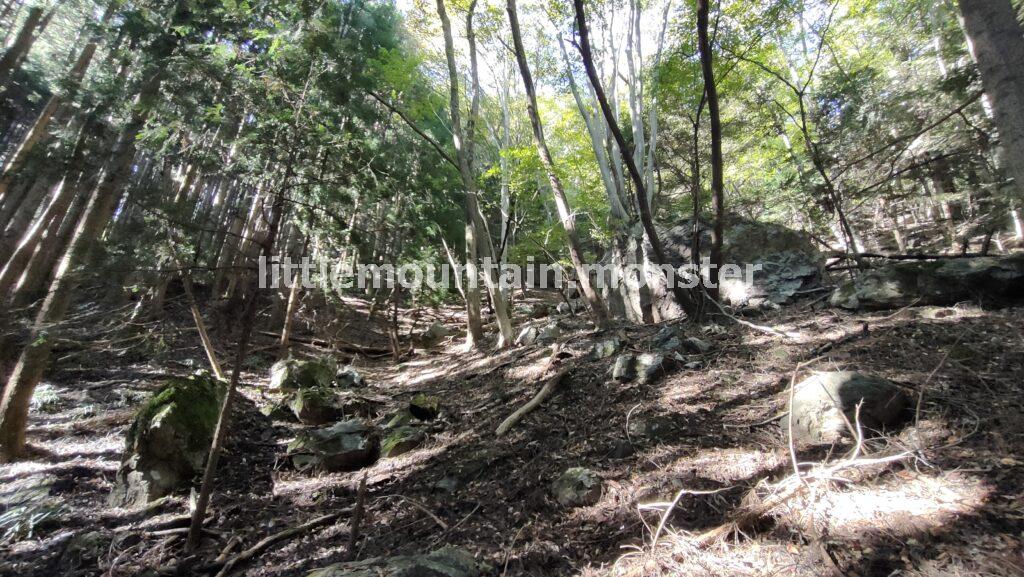 かめ岩を通過し、正丸峠分岐点に戻ってきた｜伊豆ヶ岳を5時間で登山したよ