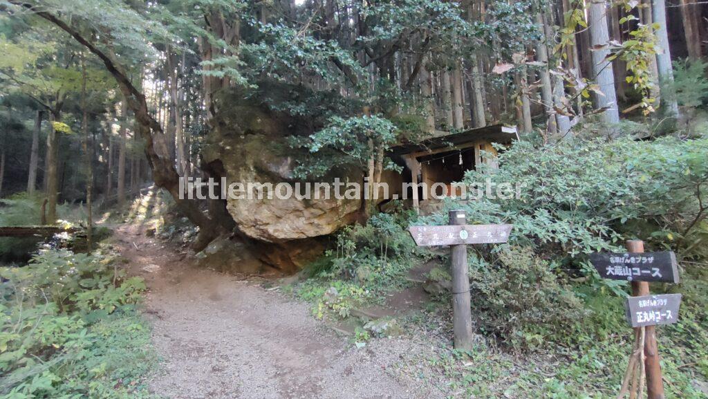 かめ岩を通過し、正丸峠分岐点に戻ってきた｜伊豆ヶ岳を5時間で登山したよ