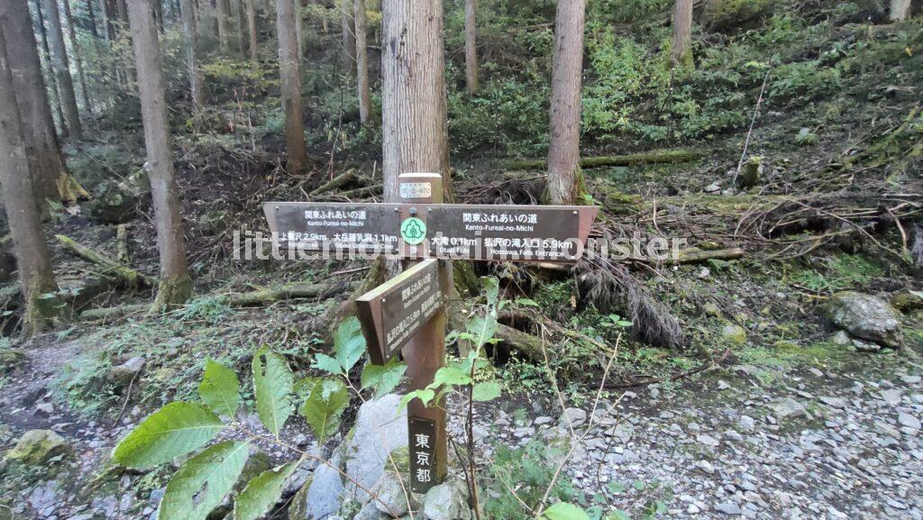 関東ふれあいの道「払沢の滝」へのコース推しらしく、大岳山はついで程度に触れられています（笑）