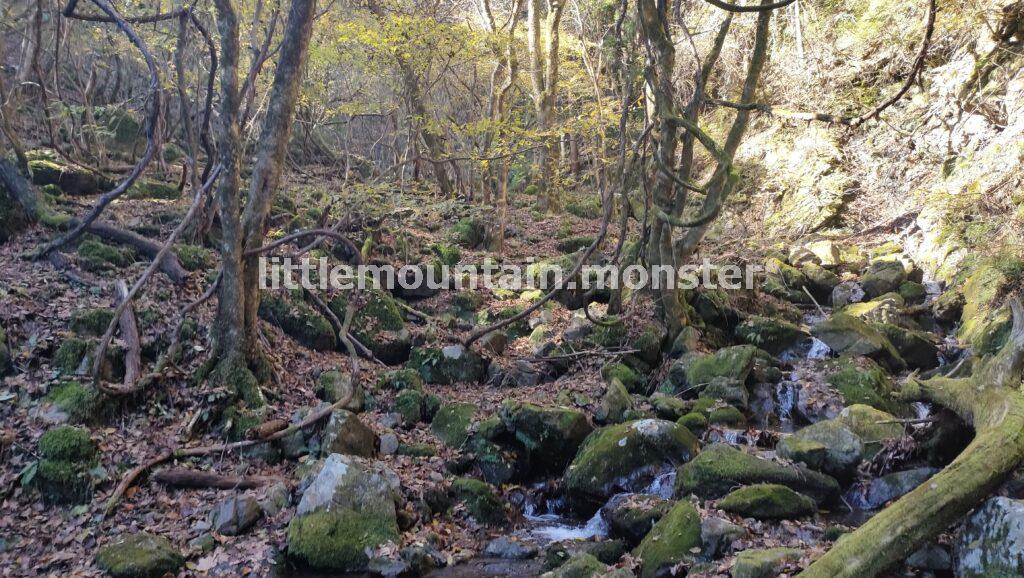 滝と岩と苔と小さな橋！大岳山目指して、沢登りが楽しい♪