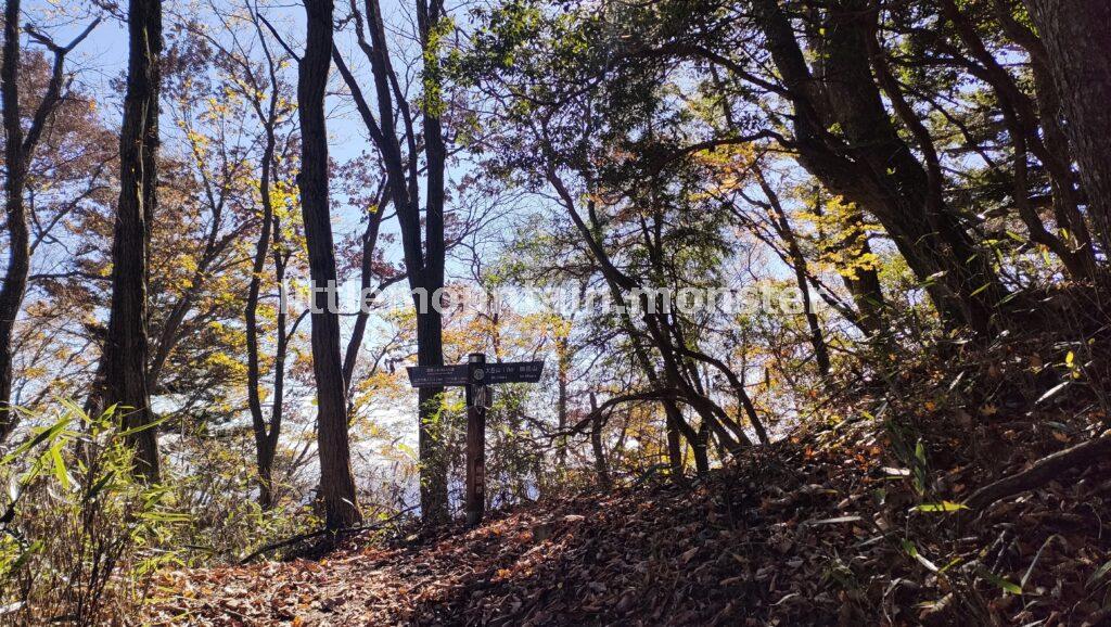 この日初めて「大岳山」の案内が見えて大喜び(*￣∇￣)ノ