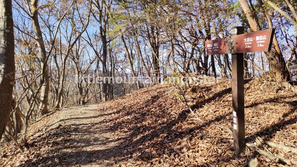 鋸山（1109m）まで尾根道を登山する