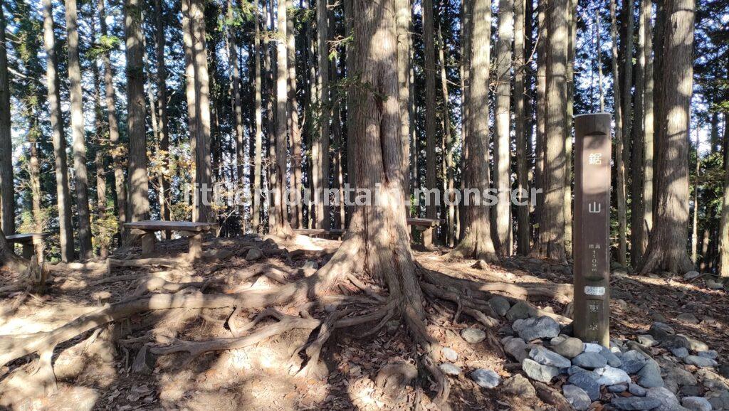 鋸山（1109m）まで尾根道を登山する