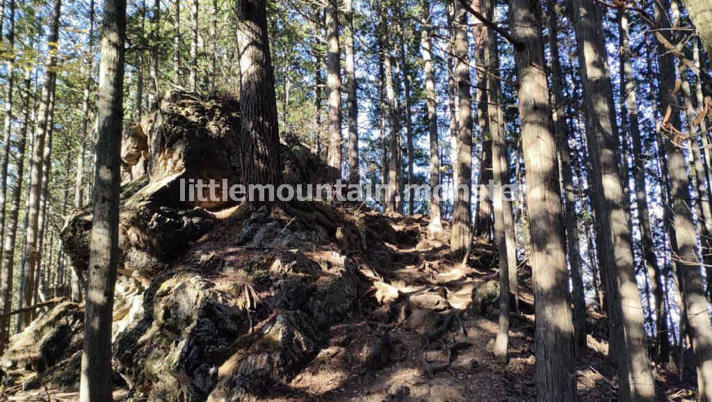 鋸山（1109m）まで尾根道を登山する