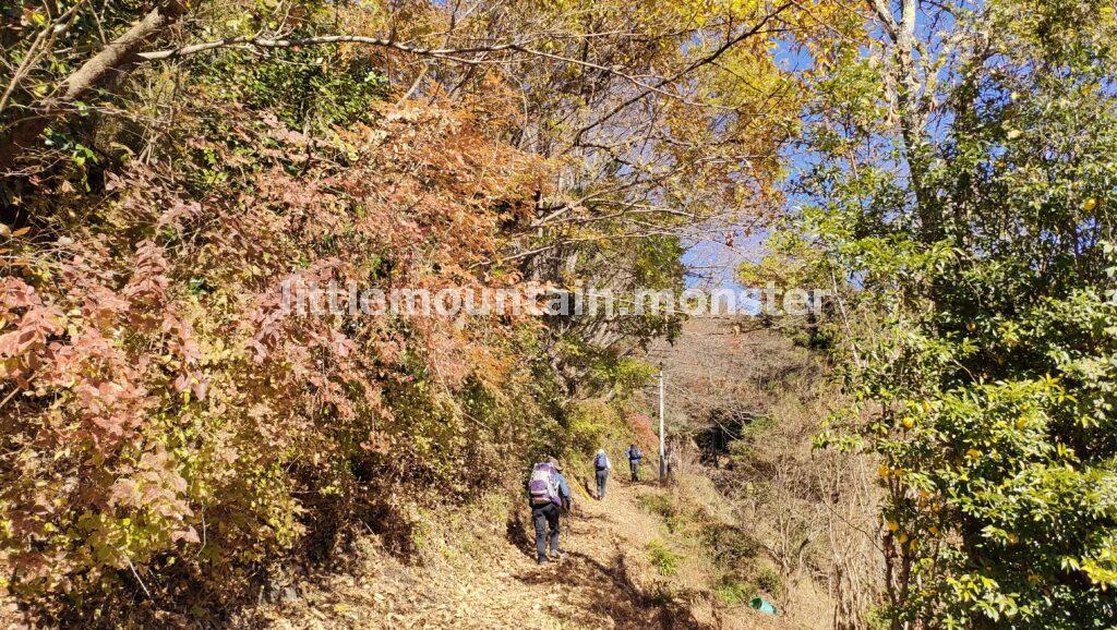 半納登山口から、城峰山の表参道コースにはいる