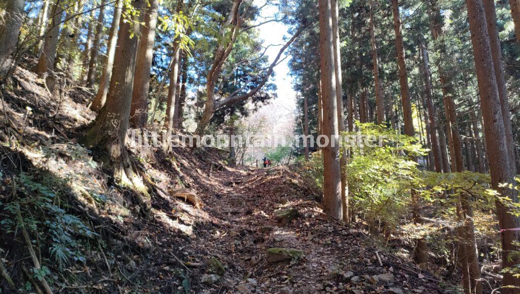 半納登山口から、城峰山の表参道コースにはいる