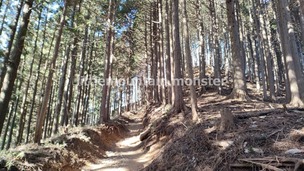 鬼滅の刃・嘴平伊之助の出身地！大岳山へ