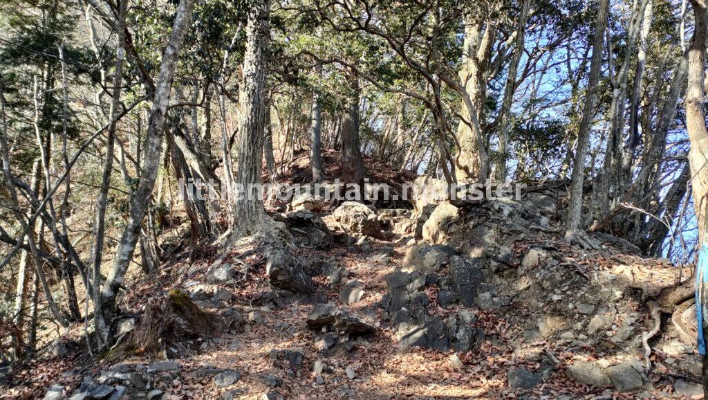 鬼滅の刃・嘴平伊之助の出身地！大岳山へ