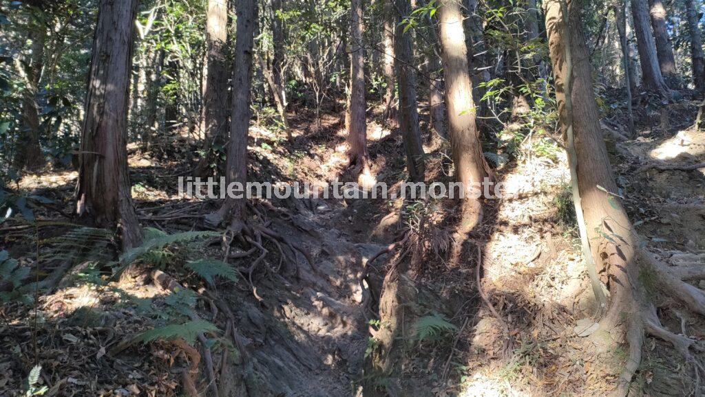 小仏バス停から1時間強で景信山の頂上へ！鬼滅の刃の聖地だよ