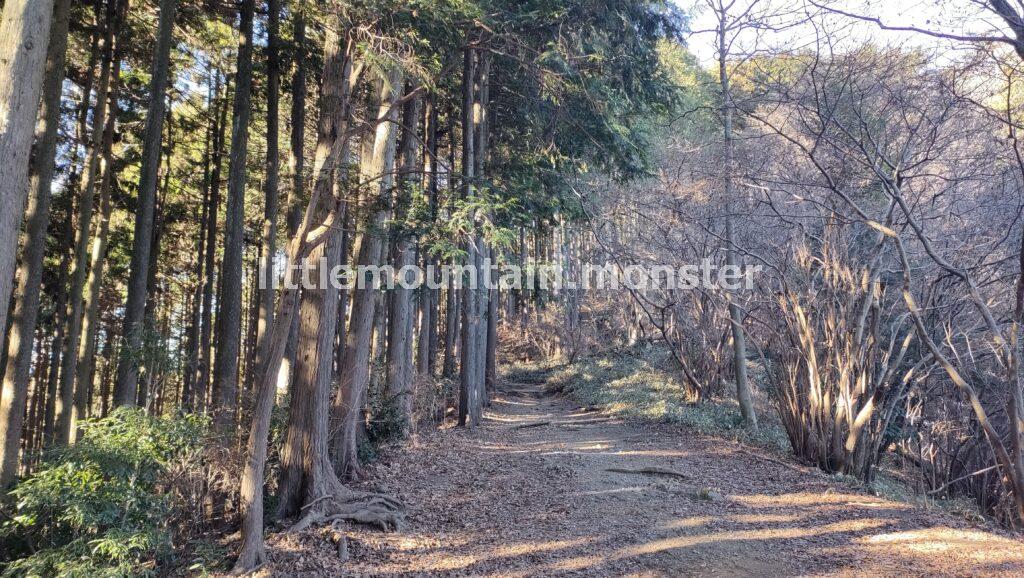 小仏バス停から1時間強で景信山の頂上へ！鬼滅の刃の聖地だよ