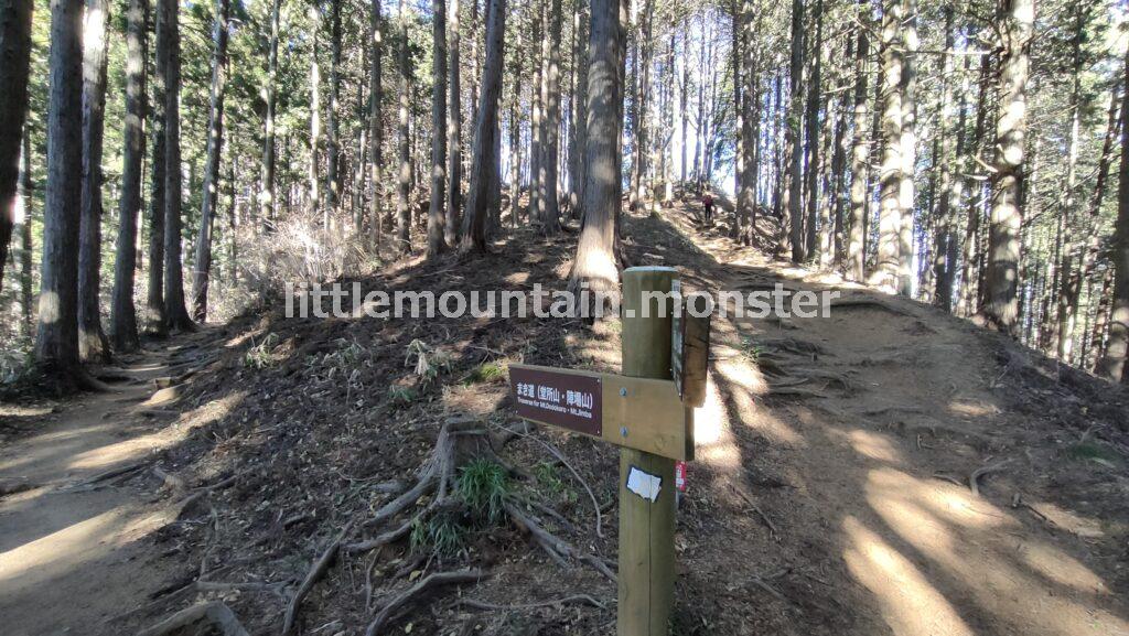 まき道をハイキングしつつ、堂所山（733m）でピークハント