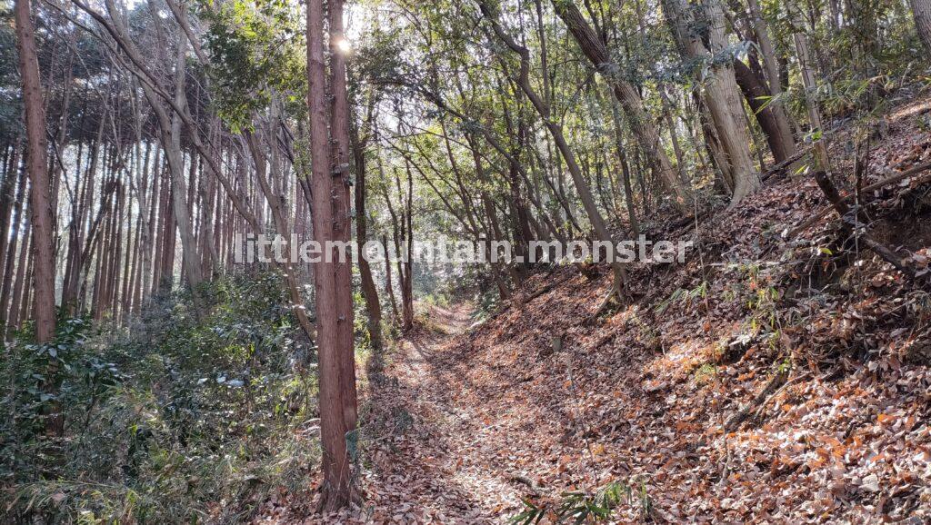 見晴らしの丘公園まで、仙元山遊歩道をハイキング