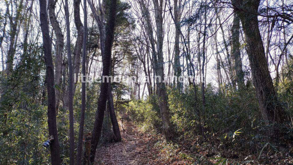 見晴らしの丘公園まで、仙元山遊歩道をハイキング