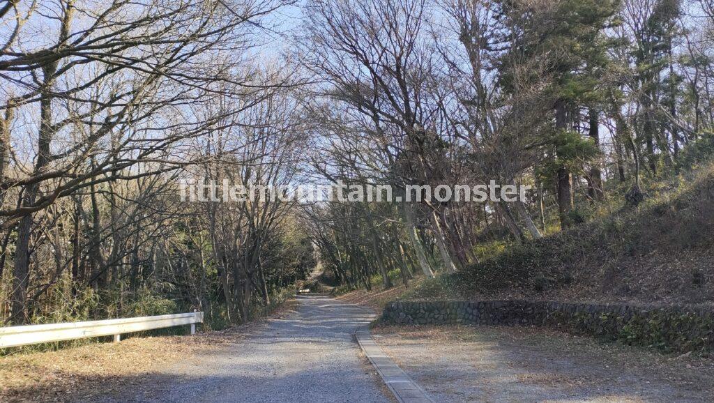 仙元山の山頂（299m）を目指して登山するよ