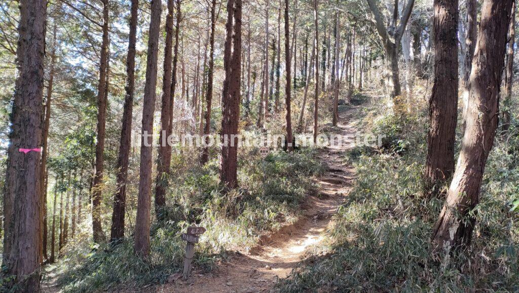 仙元山見晴らしの丘公園