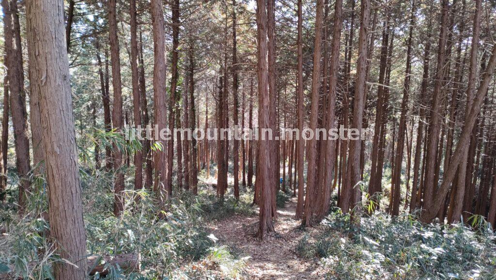 青山城跡（城山）から小倉城跡までハイキング♪