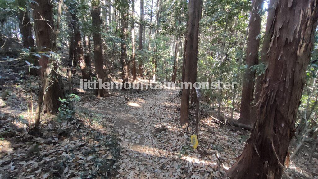 青山城跡（城山）から小倉城跡までハイキング♪