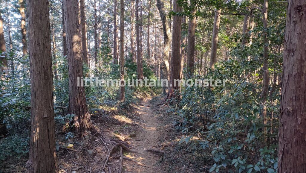 青山城跡（城山）から小倉城跡までハイキング♪