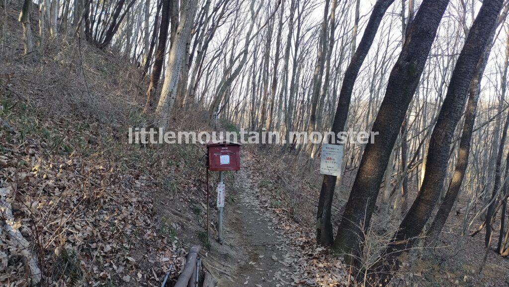 宝登山を歩いて登る！登山初心者にも◎