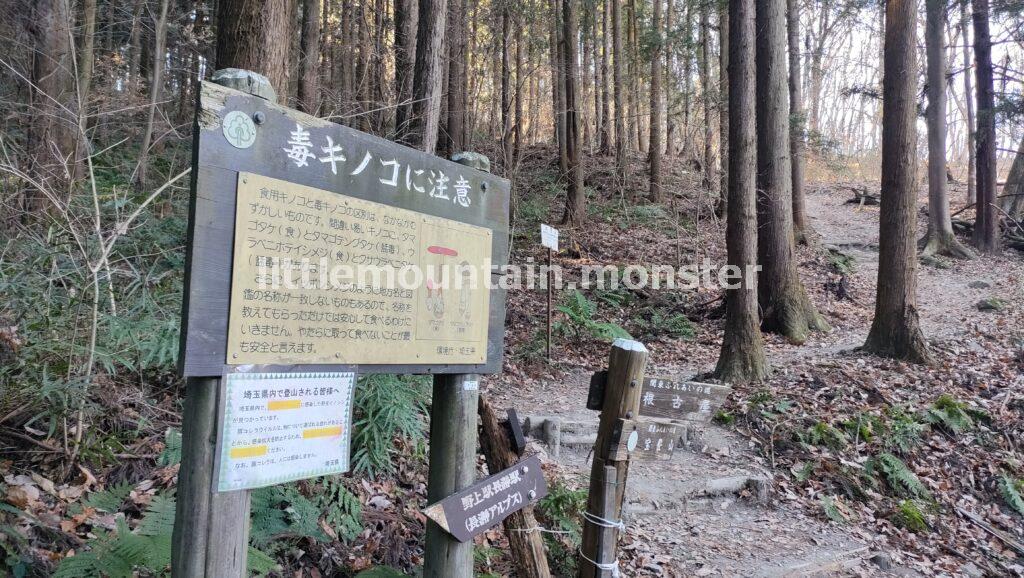 宝登山を歩いて登る！登山初心者にも◎