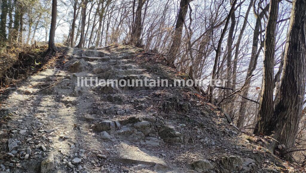 宝登山を歩いて登る！登山初心者にも◎