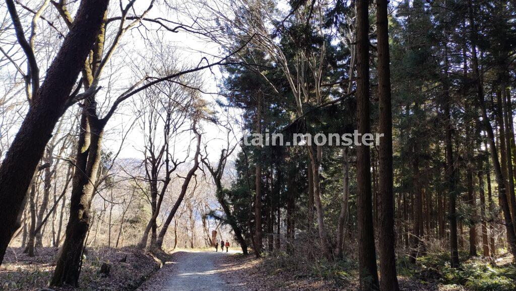 宝登山の奥宮参道から下山するよ