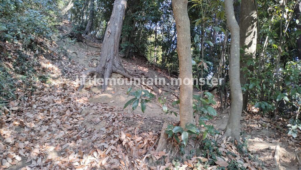 【9:12】八幡大神社の側面、右横に沿う道、駐車場に八幡山、鐘撞堂山の登山口があります。