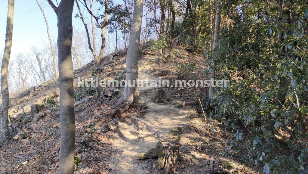 八幡山頂上（はちまんやま）210mに到着