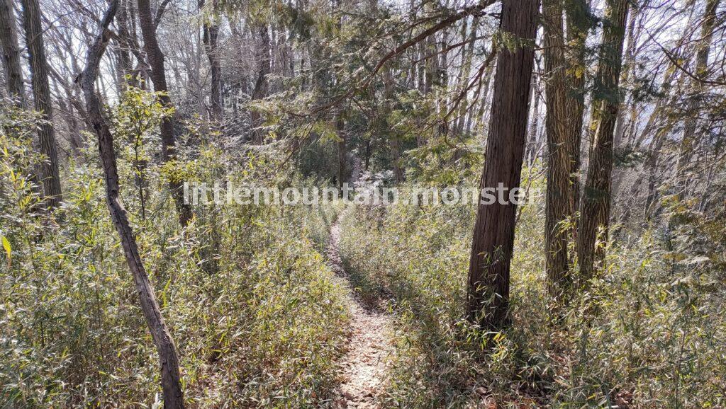 高根山コースで、鐘撞堂山から下山