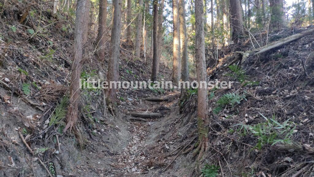 左折地点を見逃すな！両神神社の奥社までは快適な登山道を進む