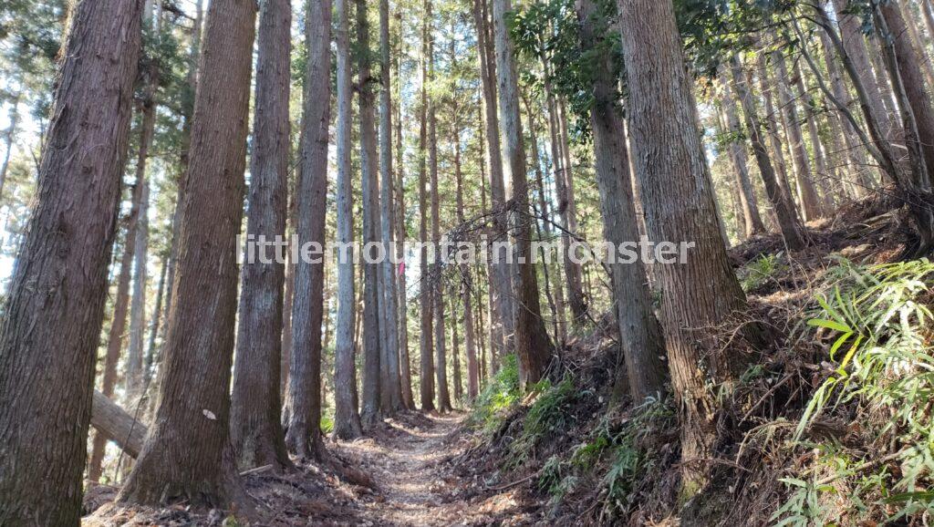 左折地点を見逃すな！両神神社の奥社までは快適な登山道を進む