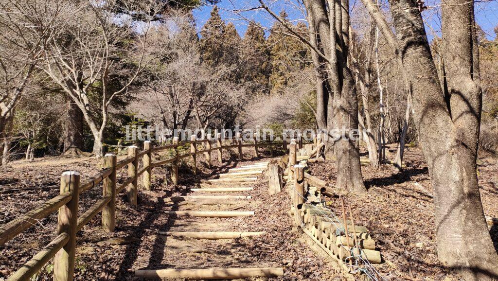 左折地点を見逃すな！両神神社の奥社までは快適な登山道を進む