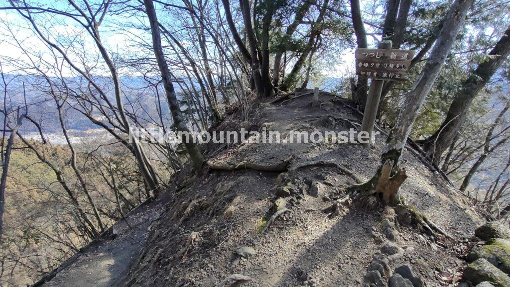 ロウバイと福寿草を眺めながら、薬師の湯まで下山