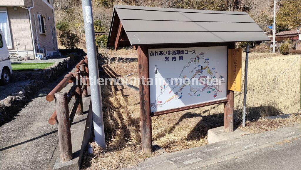 ロウバイと福寿草を眺めながら、薬師の湯まで下山