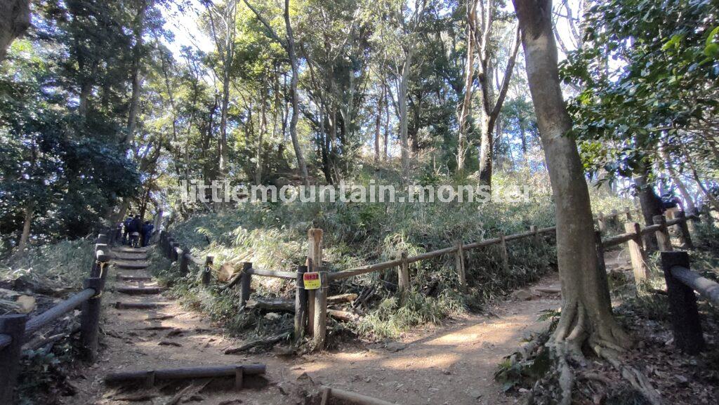 >十六羅漢を愛でつつ10分ちょいで天覧山山頂に到着