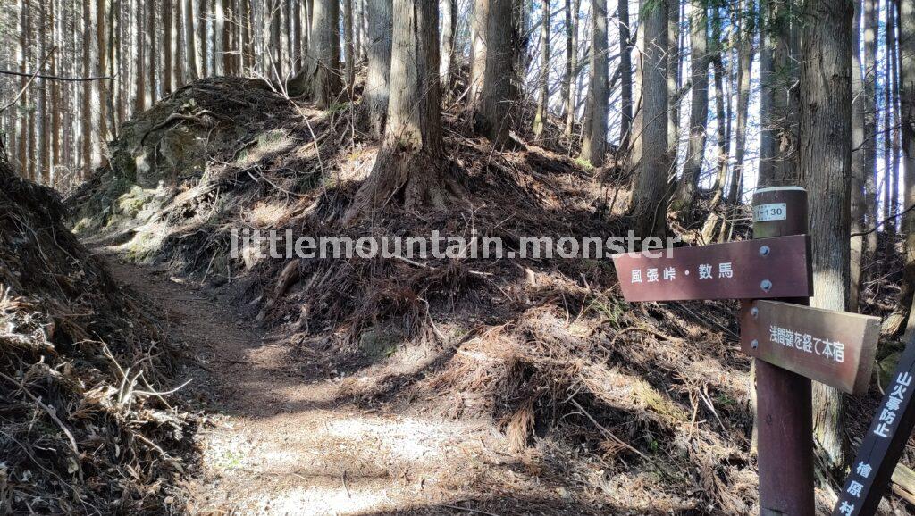 浅間神社、浅間嶺（小岩浅間）人里（へんぼり）峠経由で下る