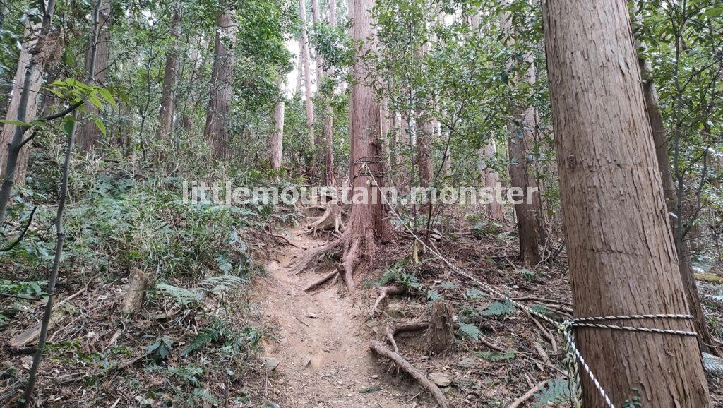 登山初心者でもOK！ハイキング気分で大高取山に登る