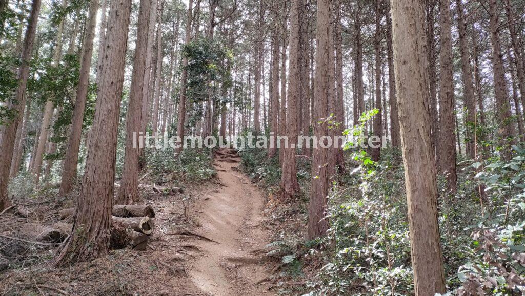 桂木観音方面を目指し、虚空蔵尊へ大高取山から下山