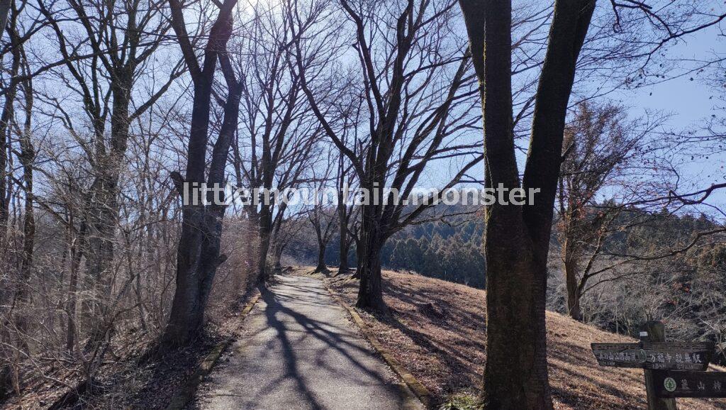 美の山（蓑山）へ仙元山コースで登山しました