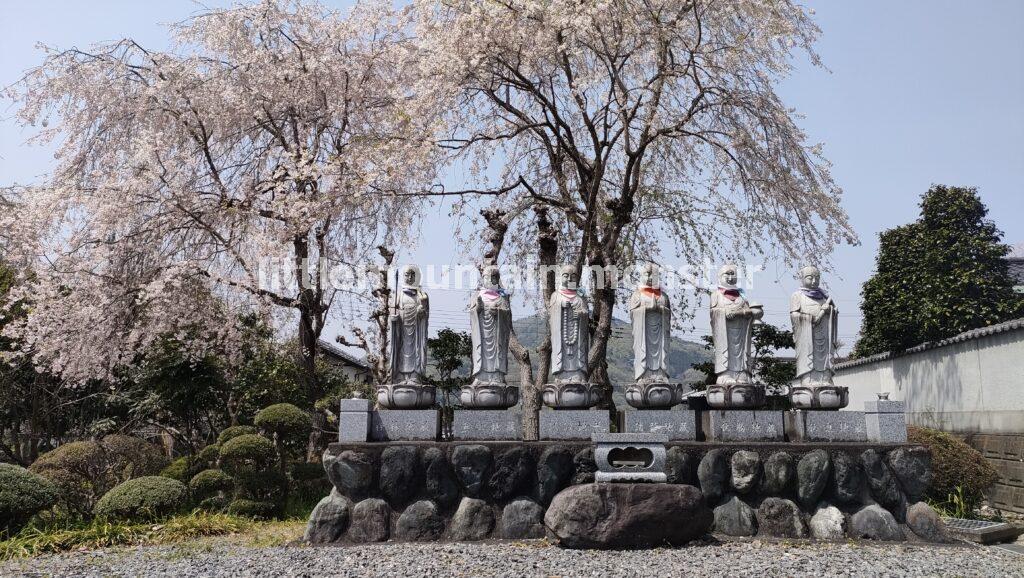 春の花が咲き誇る♪萬福寺まで下るよ