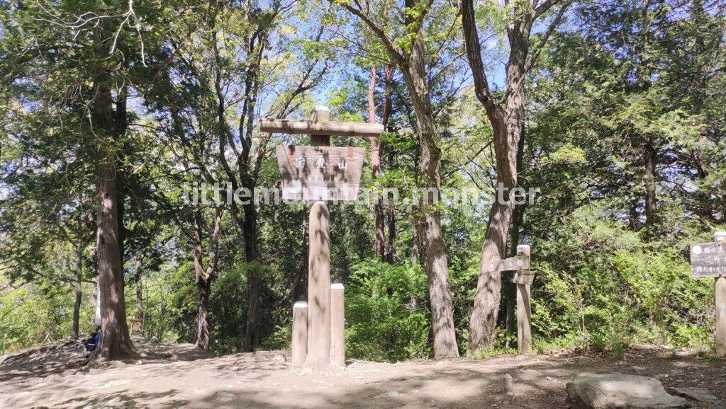 宝登山山頂つつじ園は、見頃を迎えていました