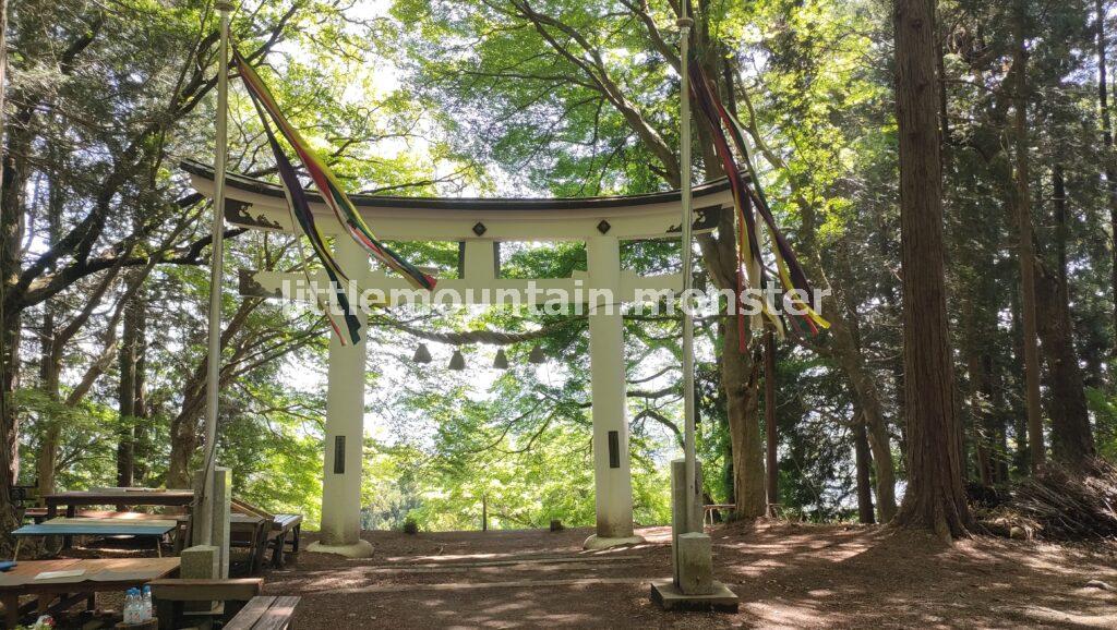 宝登山山頂つつじ園は、見頃を迎えていました