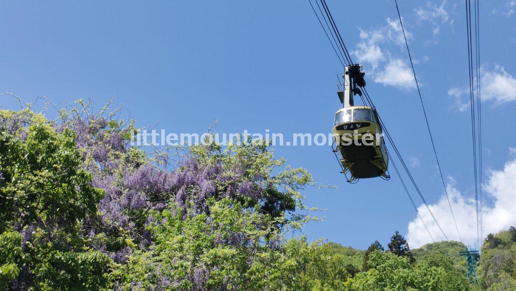 長瀞山五大院　不動寺の通り抜けの桜は、ほぼ散ってピンクの道に