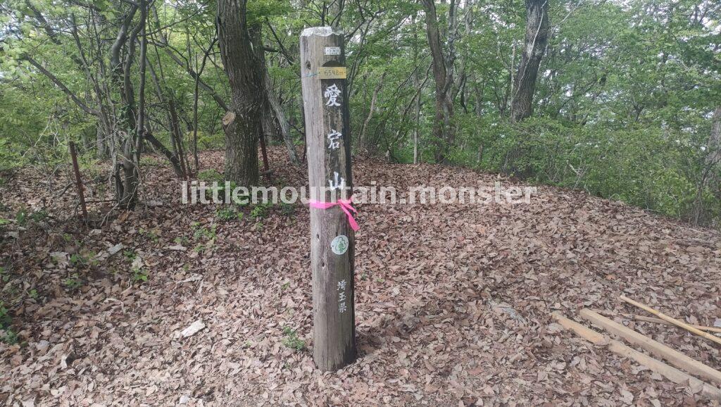 ツツジをたどったら、愛宕山についたよ（笑）