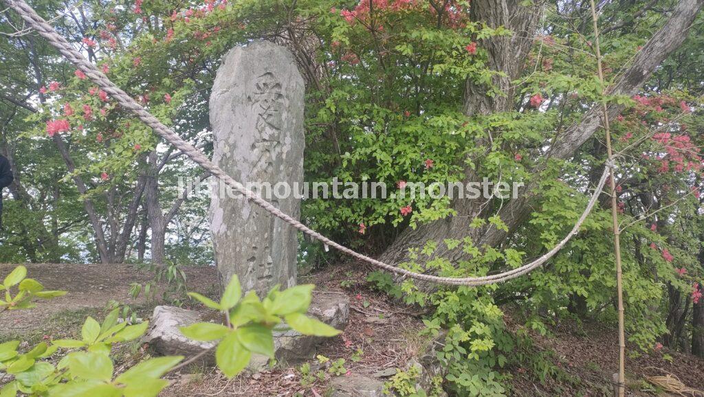 ツツジをたどったら、愛宕山についたよ（笑）
