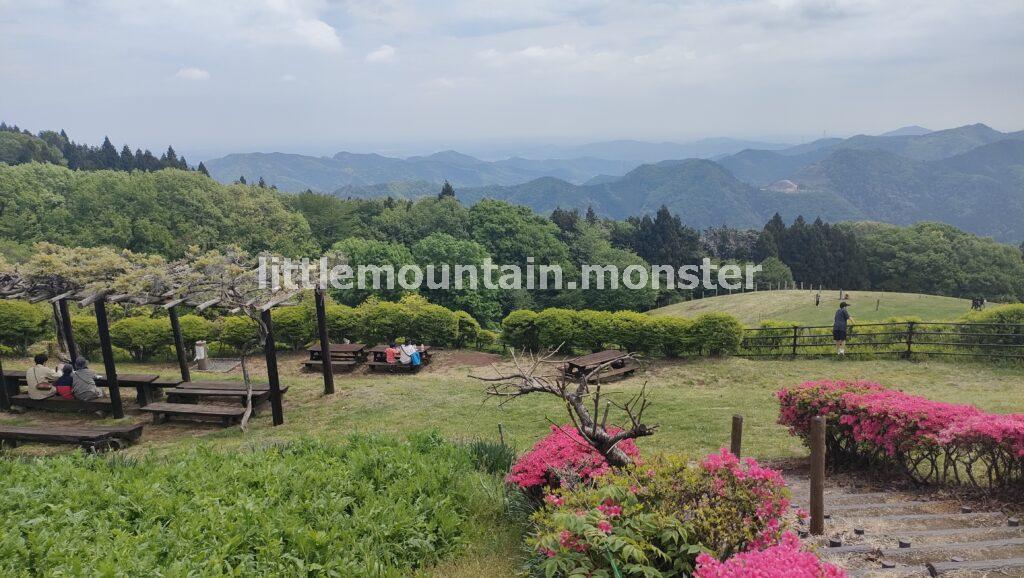彩の国ふれあい牧場で登山スイーツ♪ソフトクリーム