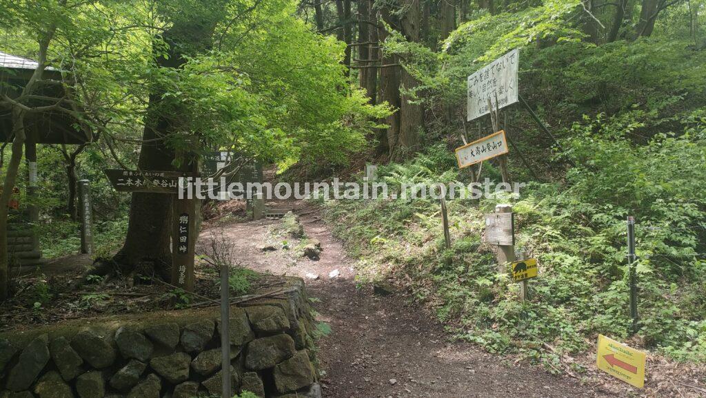 粥仁田峠（かゆにたとうげ）まで、コンクリの道が続く